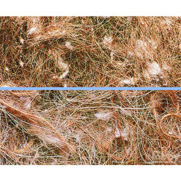 Produktbild von Nobby Nistmaterial Animale Vegetale - 50 g