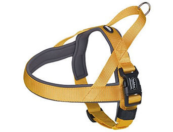 Nobby Norwegergeschirr Classic Preno – Bild 1 von 3