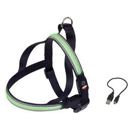 Produktbild von Nobby Norwegergeschirr Flash Mesh grün S