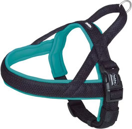 Nobby Norwegergeschirr Mesh Preno türkis – Bild 1 von 7