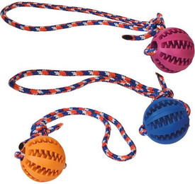 Produktbild von Nobby Outdoor-Spielzeug Hundespielzeug Dental Ball mit Seil Vollgummi