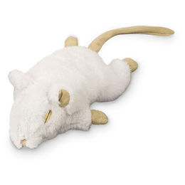 Produktbild von Nobby Plüschmaus weiß 19 cm - 1 Stk.