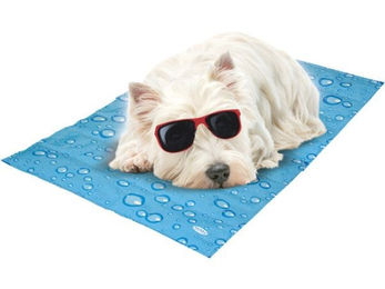 Produktbild von Nobby Wende-Kühlmatte Bubble