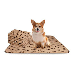 Nobleza Hundedecke Fleecedecke 75x75 cm Beige 6er Set - 6 x 75 cm – Bild 1 von 8