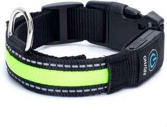 Produktbild von nobleza LED-Hundehalsband mit USB-Aufladung