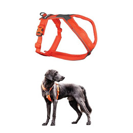 Produktbild von Non-stop dogwear Line Harness 5.0 Gepolstertes Hundegeschirr