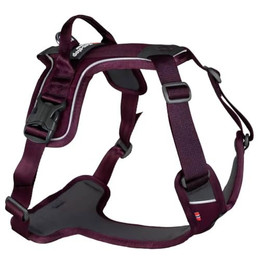 Produktbild von Non-stop dogwear Ramble Harness Führ- und Alltagsgeschirr XL
