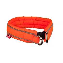 Produktbild von Non-stop dogwear Safe Collar Hunde-Halsband Orange 35 - 1 Stk.