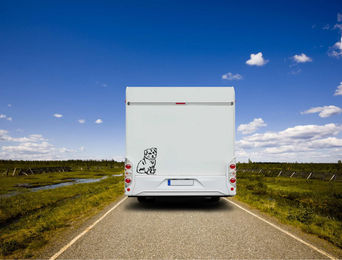 Produktbild von Norfolk Terrier Auto Wohnmobil Aufkleber
