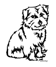 Produktbild von Norfolk Terrier Grafiklizenz