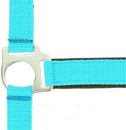 Norton Fluo Halfter – Bild 1 von 6