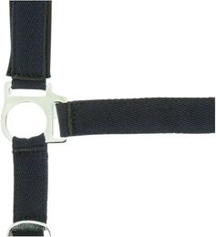 NORTON Halfter Neopren unterlegt Marineblau Shetty – Bild 1 von 2