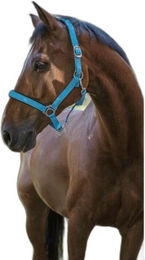 Norton Neon-Halfter gefüttert – Bild 1 von 6