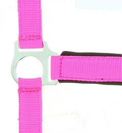 Norton Neon-Halfter gefüttert Rosa für Pferd – Bild 1 von 6