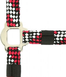 Produktbild von NORTON Tressé Halfter und Führstrick Warmblut