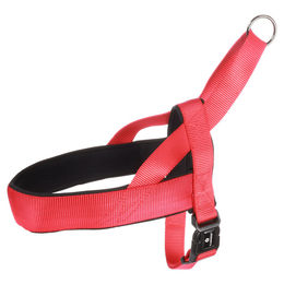 Norweger-Geschirr Abbi Rot L 55-70 cm 25 mm – Bild 1 von 4