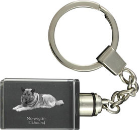 Produktbild von Norwegischer Elchhund, Norsk Elghund, Grauer Norwegischer Elchhund - Kristall-Schlüsselring mit Hundefoto, beleuchteter Schlüsselanhänger, einzigartiges Geschenk der Marke Art-Dog transparent