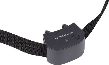 Produktbild von Num'axes Canifugue Small Hundehalsband gegen Weglaufen