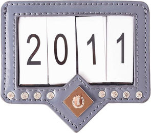 Produktbild von Nummer Reiten des Wettbewerbs Imperial Riding Show and Glow