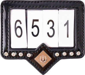 Produktbild von Nummer Reiten des Wettbewerbs Imperial Riding Show and Glow