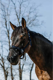 Produktbild von Nüsternschutz für Pferde Equithème Anti UV