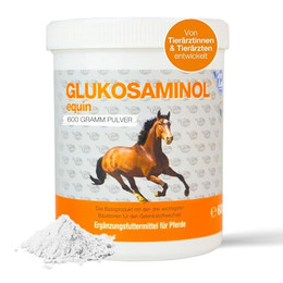Produktbild von NutriLabs Glukosaminol equin Gelenk-Pulver für Pferde - 600 g
