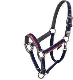 Produktbild von Nylon Halfter und Führleine für Pferde aus Nylon Equestro