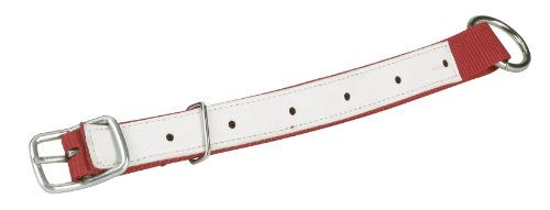 Nylon-Halsband für Schaf und Ziege Kerbl – Bild 1 von 2