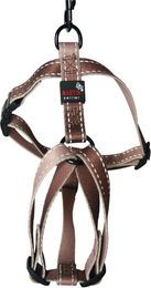 Produktbild von Nylon Hundegeschirr Martin Sellier M