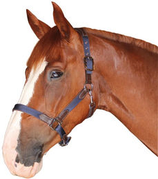 Produktbild von Nylon-Leder-Halfter Flags&Cup