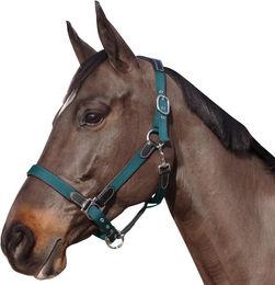 Produktbild von Nylon/Leder-Halfter Flags&Cup