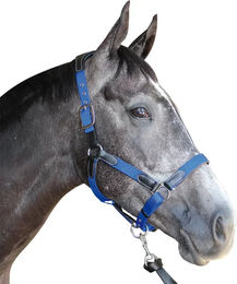 Produktbild von Nylon/Leder-Halfter Flags&Cup