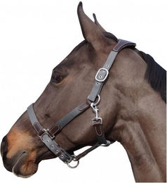 Produktbild von Nylon/Leder-Halfter Flags&Cup