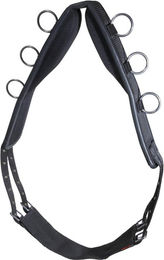 Produktbild von Nylon Longiergurt für Pferde Karlslund