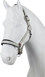 Produktbild von Nylonhalfter B Vertigo High Altitude