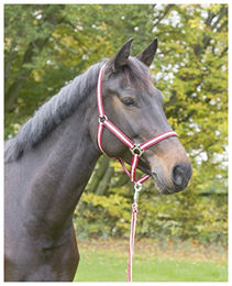 Nylonhalfter full Kerbl hippo – Bild 1 von 3