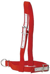 Produktbild von Nylonhalfter für Kühe Kamer