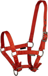 Produktbild von Nylonhalfter für Pferde Horka Basic