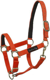 Produktbild von Nylonhalfter für Pferde mit Lederverstärkung Umbria Equitazione