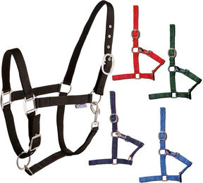 Produktbild von Nylonhalfter mit doppelter Verstellung Tattini