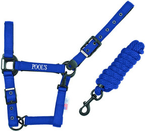 Produktbild von Nylonhalfter mit Leder für Pferde Pool's