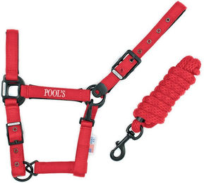 Produktbild von Nylonhalfter mit Leder für Pferde Pool's