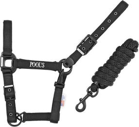 Produktbild von Nylonhalfter mit Leder für Pferde Pool's