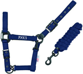 Produktbild von Nylonhalfter mit Leder für Pferde Pool's