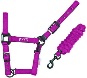 Produktbild von Nylonhalfter mit Leder für Pferde Pool's