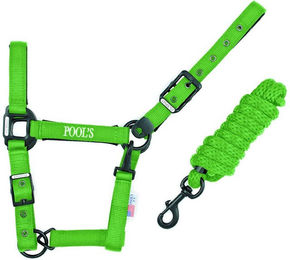 Produktbild von Nylonhalfter mit Leder für Pferde Pool's