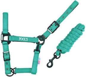 Produktbild von Nylonhalfter mit Leder für Pferde Pool's