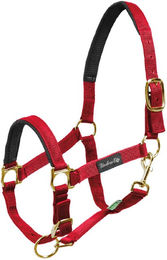 Produktbild von Nylonhalfter mit Neoprenverstärkung für Pferde Umbria Equitazione