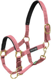 Produktbild von Nylonhalfter mit Neoprenverstärkung für Pferde Umbria Equitazione