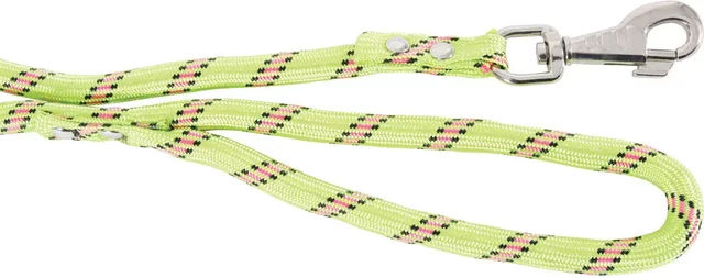 Produktbild von Nylonleine Seil für Hunde Zolux